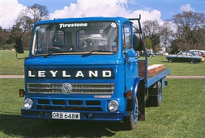   Leyland () Terrier