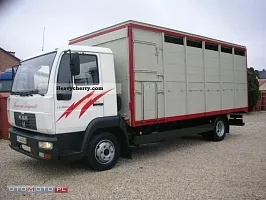 Ремонт Стартера Man (МАН) LE160