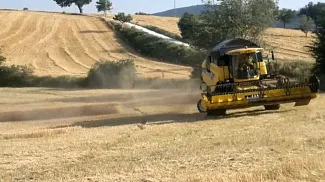 Ремонт Стартера New holland (НЬЮ ХОЛЛАНД) CX68
