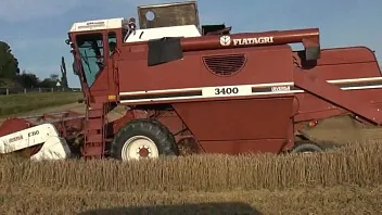 ремонт Генератора LAVERDA () 3400