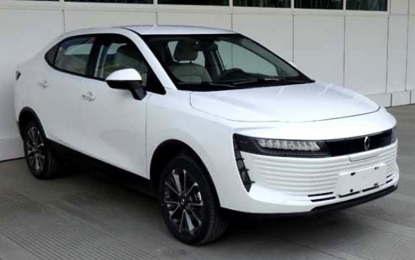 Новая китайская торговая марка Ora Новая китайская торговая марка Ora