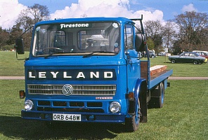   LEYLAND Terrier