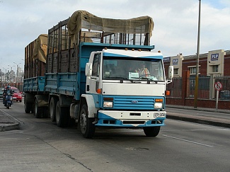   FORD () Cargo 1513