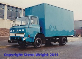   LEYLAND Terrier Boxer